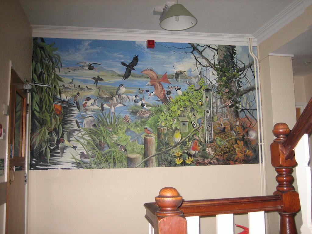 Yha Borth Vandrarhem Rum bild